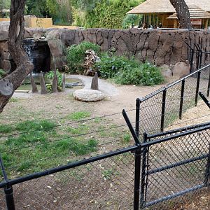 alligator exhibit (with side chute)
