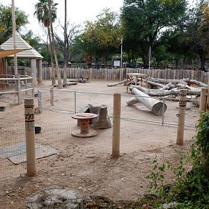 domestic goat exhibit (former elephant)