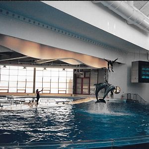 National Aquarium in Baltimore, 1995