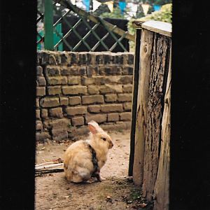 Cotswold, late 1990s