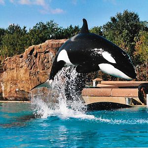 Marineland Canada, Nov 2003