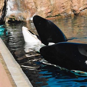 Marineland Canada, Nov 2003