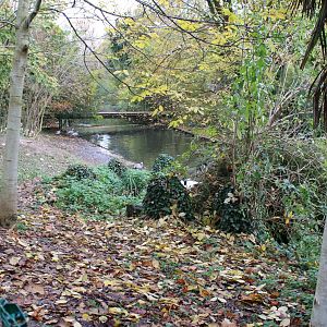 Stream with Waterfowl - Pelican enclosure