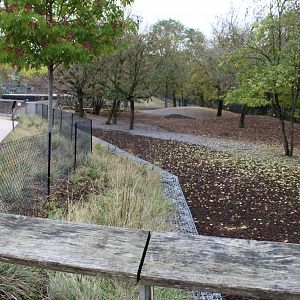 Guanaco - Patagonian mara and Darwin rhea enclosure