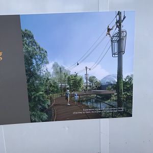 Wild Indonesia Orangutan and Siamang Concept Art