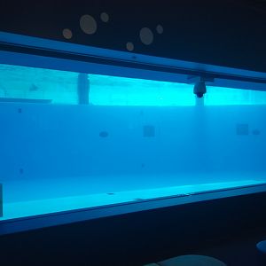 Stadium Pool Underwater Viewing