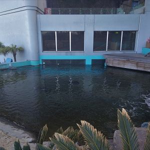 Outdoor Reef/Shore Tank