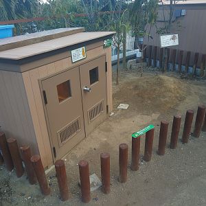 African Spurred Tortoise Exhibit
