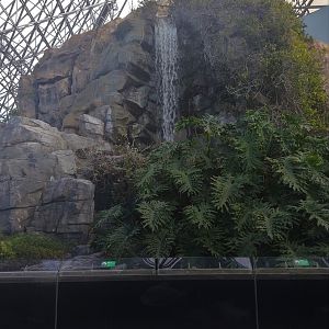 Waterfall Exhibit