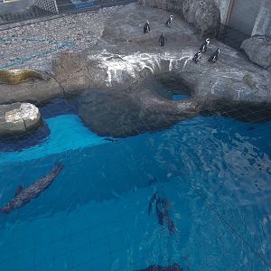 Fureai Lagoon Exhibit