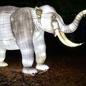 Bronx Zoo, 2019 Holiday Lights