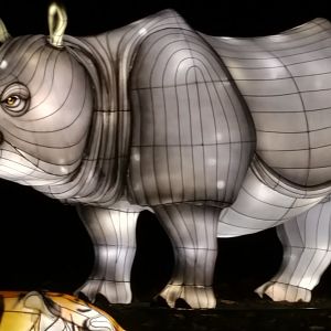 Bronx Zoo, 2019 Holiday Lights