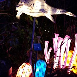 Bronx Zoo, 2019 Holiday Lights