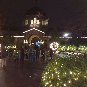 Bronx Zoo, 2019 Holiday Lights