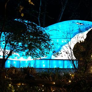 Bronx Zoo, 2019 Holiday Lights