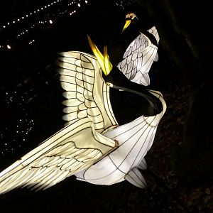 Bronx Zoo, 2019 Holiday Lights