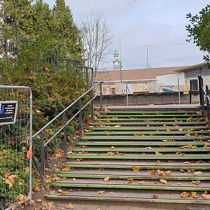 Stairs to Sea-lion enclosure