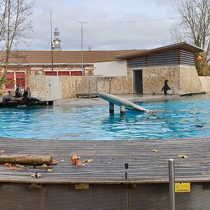 Sea-lion enclosure