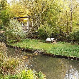 Squirrel monkey islands