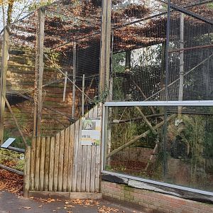 Red panda enclosure