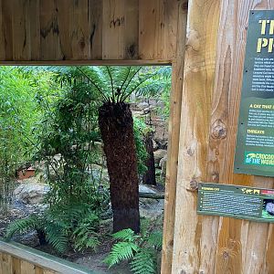 Part of Fishing cat enclosure 231119