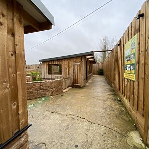 View towards African spurred tortoise exhibit 231119
