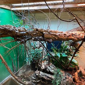 Green tree monitor exhibit 231119