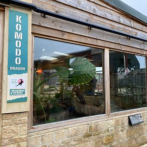 Komodo dragon exhibit 231119