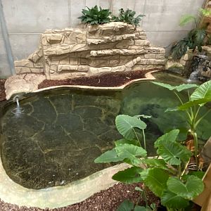 False gharial exhibit 231119