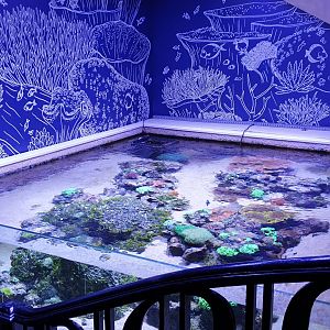 First aquarium down the stairs