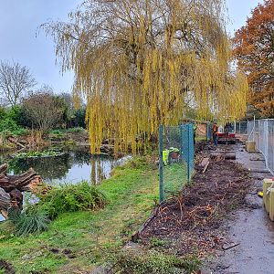 Giant Otter Enclosure Fence Replacement - 27/11/2019