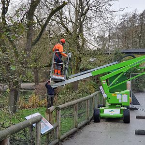 Tree Pruning (New Aviary) - 27/11/2019