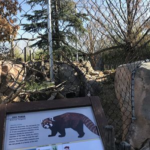 Red Panda Yard