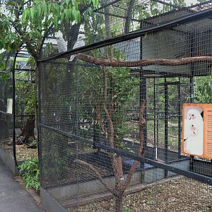 Row of Bird Aviaries