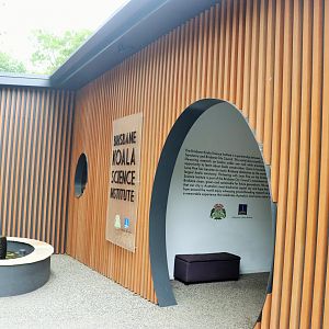 Brisbane Koala Science Institute