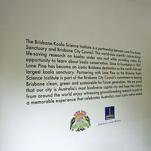 Brisbane Koala Science Institute - Sign