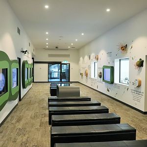 Brisbane Koala Science Institute