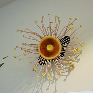 Brisbane Koala Science Institute - Eucalyptus Blossom Wall Decoration