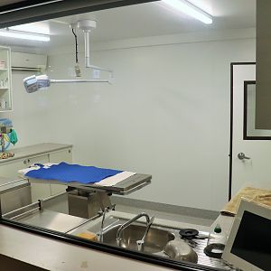 Brisbane Koala Science Institute - Viewing Window