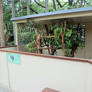 Koala Enclosure