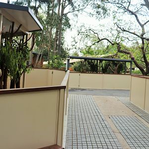 Koala Enclosure Area