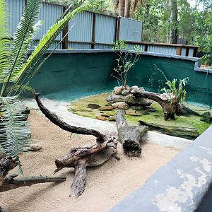 Turtle Enclosure