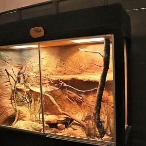 Spiny-tailed Monitor Enclosure