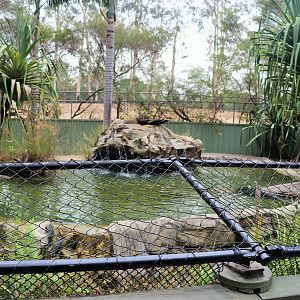 Freshwater Crocodile Enclosure