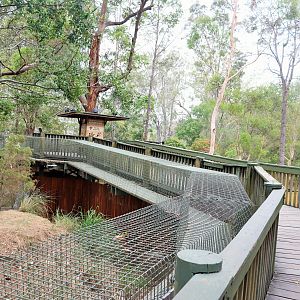 Boardwalk Along Dingo Enclosure