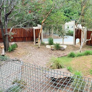 Dingo Enclosure