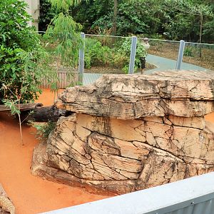 Perentie Enclosure
