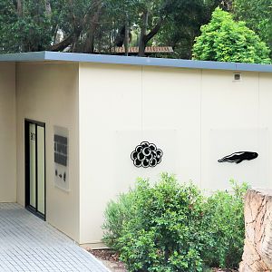 Reptile and Amphibian Habitat