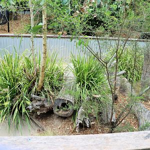 Lace Monitor Enclosure