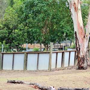 Southern Hairy-nosed Wombat/Echidna Enclosures